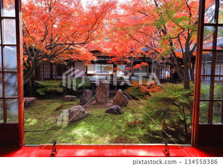 [Kyoto Prefecture] Autumn leaves at the Choon Garden (triple garden) of the main temple of Kenninji Temple 134558386