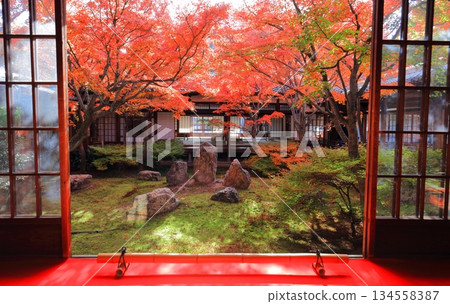 【京都】建仁寺本寺春庭（三庭）的秋葉 134558387