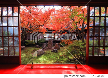 【京都】建仁寺本寺春庭（三庭）的秋葉 134558388