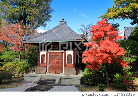 【京都府】晴天裡的建仁寺藏骨堂和秋葉 134558389
