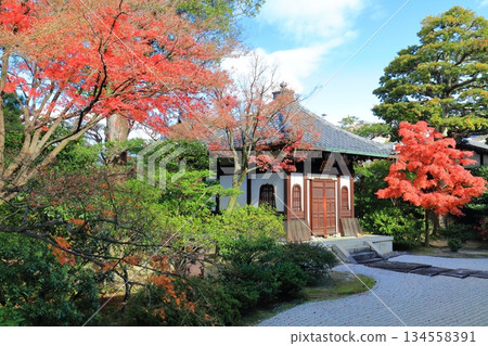 【京都府】晴天裡的建仁寺藏骨堂和秋葉 134558391