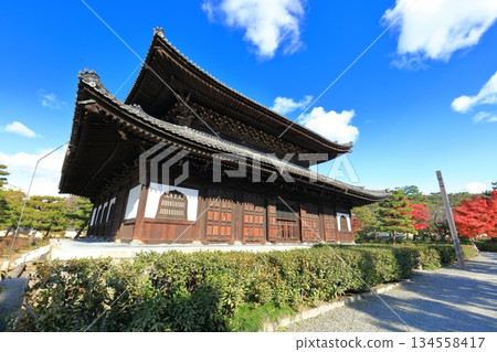 [Kyoto Prefecture] Kenninji Temple's lecture hall and autumn leaves on a clear day 134558417