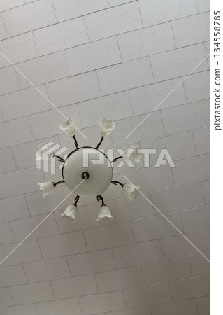 Vintage Ceiling Light with Floral Bulbs Vintage Ceiling Light with Floral Bulbs 134558785