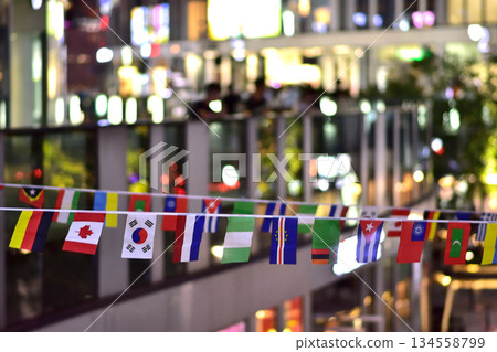 Colorful International Flags at Outdoor Festival 134558799