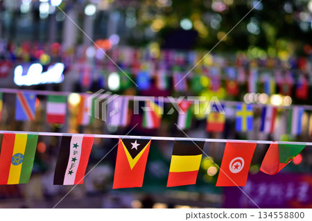 Colorful International Flags at Outdoor Festival Colorful International Flags at Outdoor Festival 134558800