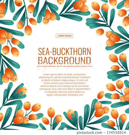 Colorful background with sea buckthorn twigs and berries. The concept of autumn, tea drinking. Vector illustration for the design of posters, flyers, postcards and invitations 134558914