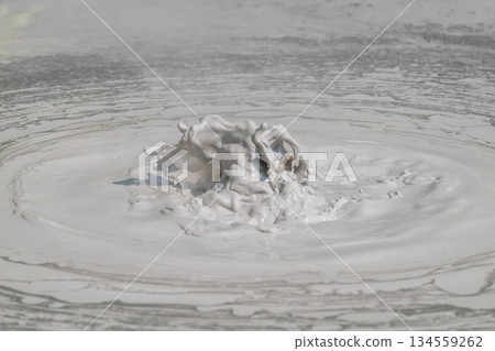 Art of the Earth - Beppu Bozu Jigoku 134559262