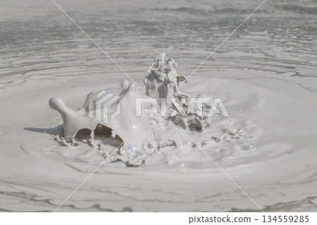 Art of the Earth - Beppu Bozu Jigoku 134559285