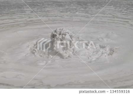 大地的藝術 - 別府屋主地獄 134559316