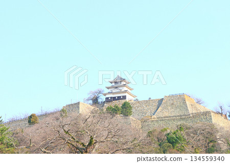 香川縣丸龜市丸龜城風景 134559340