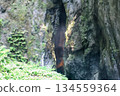 Natural cave entrance surrounded by rock walls and green plants 134559364