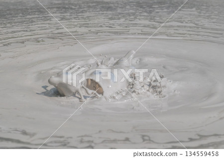 Art of the Earth - Beppu Bozu Jigoku 134559458