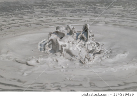 Art of the Earth - Beppu Bozu Jigoku 134559459