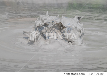 Art of the Earth - Beppu Bozu Jigoku 134559485