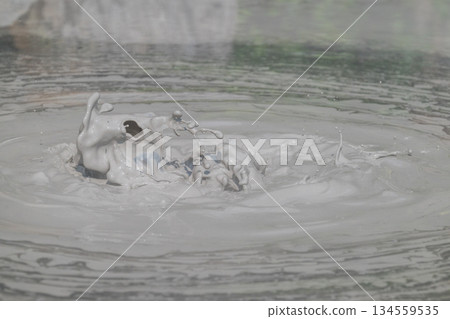 大地的藝術 - 別府屋主地獄 大地的藝術 - 別府屋主地獄 134559535