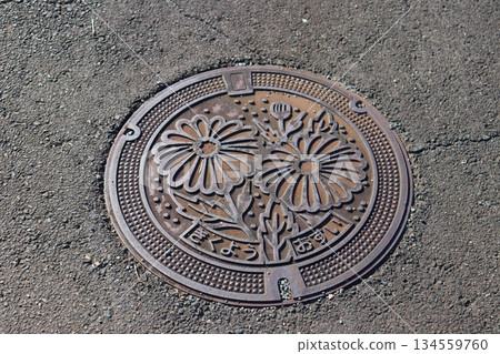 Kikuyo Town, Kumamoto Prefecture, Kikuchi County, manhole, sewer, chrysanthemum Kikuyo Town, Kumamoto Prefecture, Kikuchi County, manhole, sewer, chrysanthemum 134559760