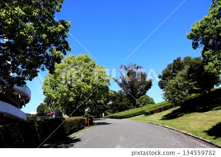 熊本縣熊本市熊本公園巨蛋熊本江顏健康體育場 134559782