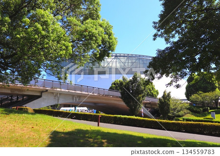 熊本縣熊本市熊本公園巨蛋熊本江顏健康體育場 134559783