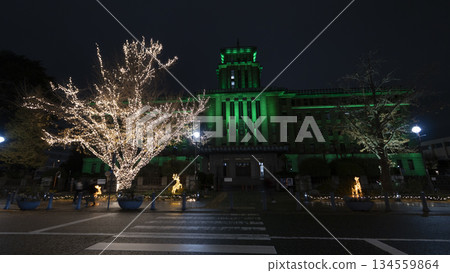 Illuminated Nihon-Odori Street Illuminated Nihon-Odori Street 134559864