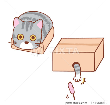 Cardboard and cat 134560019