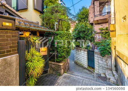 日本東京的城市景觀:傳統與現代交融的城市…充滿情感的小鎮。神樂坂,情感充沛,俯瞰兵庫橫丁及週邊地區。 日本東京的城市景觀:傳統與現代交融的城市…充滿情感的小鎮。神樂坂,情感充沛,俯瞰兵庫橫丁及週邊地區。 134560098