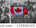A symbolic scene of the Canadian flag's maple leaf fluttering 134560105