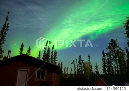 A fantastic night view of the aurora spreading over the forest and lodge in Yellowknife, Canada 134560113