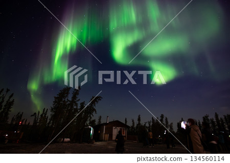 加拿大耶洛奈夫的夜空被絢麗的極光點亮，呈現出令人驚嘆的景象。 134560114