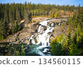 The powerful cascade of Cameron Falls surrounded by forest 134560115
