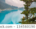 Natural scenery of emerald-colored moraine lake and coniferous trees 134560190