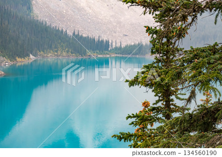 Natural scenery of emerald-colored moraine lake and coniferous trees 134560190