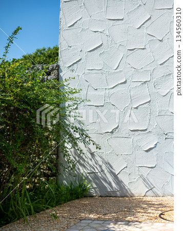 Image of a tropical resort hotel 134560310
