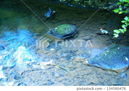 Color River Water Stone Rock (Registered December 2025) Color River Water Stone Rock (Registered December 2025) 134560476