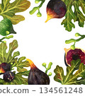 Botanical frame of figs and leaves on a white background. Hand-drawn in watercolor. Suitable for making souvenirs and postcards. 134561248