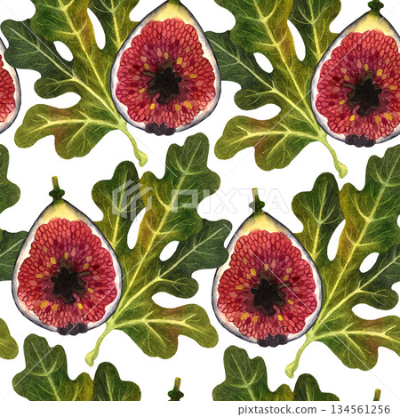 Seamless pattern with a fig in the cut and fig tree leaves on a white background. The illustrations are hand-drawn in watercolor. Suitable for printing on fabric and paper. Seamless pattern with a fig in the cut and fig tree leaves on a white background. The illustrations are hand-drawn in watercolor. Suitable for printing on fabric and paper. 134561256