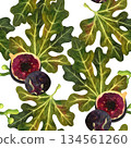 Seamless pattern with fig fruits and leaves on a white background. The illustrations are hand-drawn in watercolor. Suitable for printing on fabric and paper. 134561260