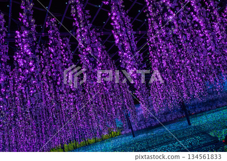 Sparkling illumination image Sparkling illumination image 134561833