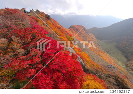 大分縣九重山脈三俁山北峰的秋葉 大分縣九重山脈三俁山北峰的秋葉 134562327