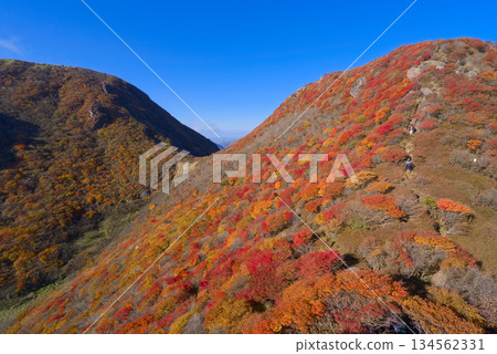 大分縣九重山脈三俁山北峰的秋葉 大分縣九重山脈三俁山北峰的秋葉 134562331