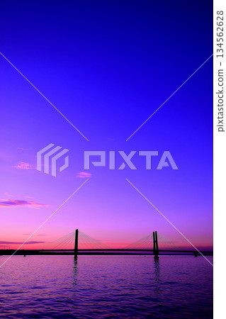 獅子橋樑的日落視圖 134562628