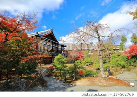 【京都府】晴天裡,祇園甲部歌舞蓮城庭園的秋葉 【京都府】晴天裡,祇園甲部歌舞蓮城庭園的秋葉 134562769