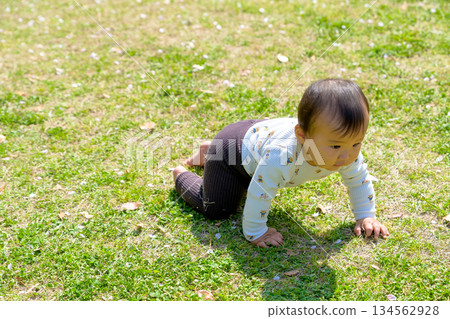 A baby crawling energetically on the grass in the park. Trimming A baby crawling energetically on the grass in the park. Trimming 134562928