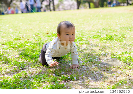 A baby crawling energetically on the grass in the park A baby crawling energetically on the grass in the park 134562930