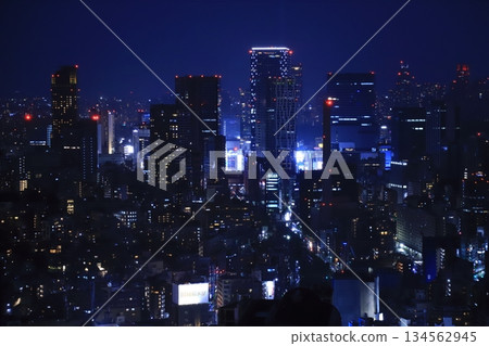 Night view of Shibuya's buildings from Ebisu 134562945