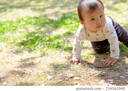 A baby crawling energetically on the grass in the park. Surprise, discovery, curiosity A baby crawling energetically on the grass in the park. Surprise, discovery, curiosity 134562948