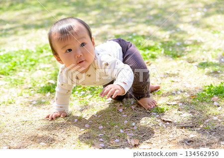 A baby crawling energetically on the grass in the park. Surprise, discovery, curiosity A baby crawling energetically on the grass in the park. Surprise, discovery, curiosity 134562950