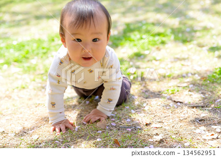 一個嬰兒在公園的草地上精力充沛地爬行。驚喜、發現、好奇 一個嬰兒在公園的草地上精力充沛地爬行。驚喜、發現、好奇 134562951