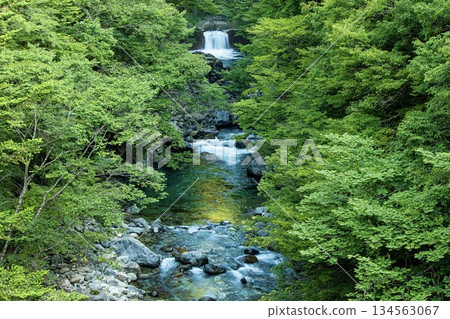 Tsukechi River flowing through the forest in Nakatsugawa City 134563067