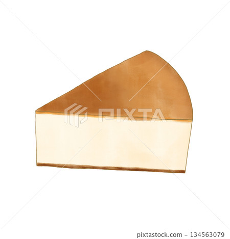 切芝士蛋糕的插圖 134563079