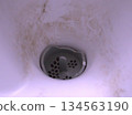 Water mold in the bathroom drain 134563190